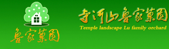 精品亚洲第1页国产在线,三级日本精品在线观看视频,日本中文天堂www,午夜酒吧视频在线观看,高清无码一区二区三区,黑人国产在线精品亚洲第1页,美国美女一级Aa片,日本白天日片在线播放,成年日本私人影院网站,天天日爱片,午夜日本槽槽中文logo